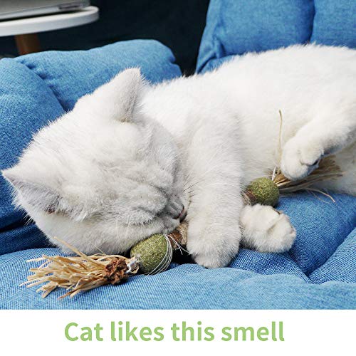 PAZ'S GIFT Catnip Toy Cat Toys Catnip Toy cat chew Toy cat Kicking silvervine Stick Teeth Cleaning Cute Kitten Teething Indoor Interactivecat Dental Care Matatabi (Catnip Balls) - size: Catnip Balls