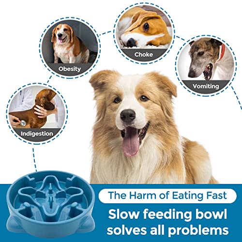 VANNON Slow Feeder Dog Bowls Durable Puzzle Feeder Non Slip Dog Food Dish Bloat Stop Food Bowls for Small Medium Dogs, 3 Cups, BPA Free, Blue - color: G-Blue-Medium-3Cups