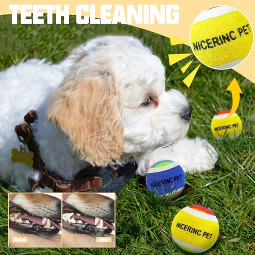 X-Small Dog Tennis Balls Dog Toys Ball 1.5" Pack of 12, Fit Ball Launchers - color: Yellow&Blue Rainbow tennis balls
