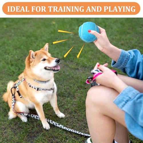 20Pcs Small Tennis Balls for Dogs, 2 Inch Mini Dog Training Tennis Balls
