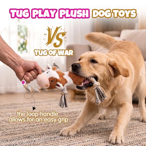 2-Pack Squeaky Crinkle Plush Dog Toys