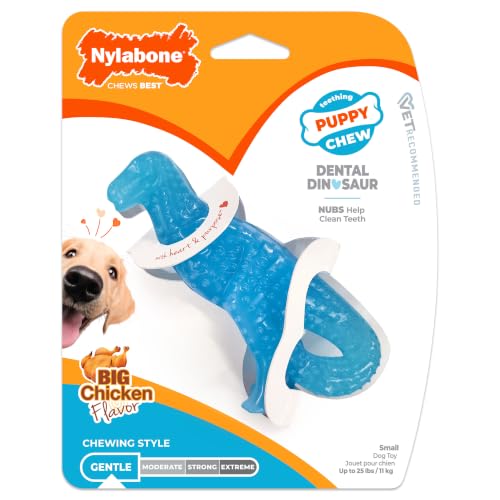 Nylabone Puppy Chew Dental Dinosaur Dog Chew Toy, Chicken Flavor, Small - color: Dinosaur, size: Small