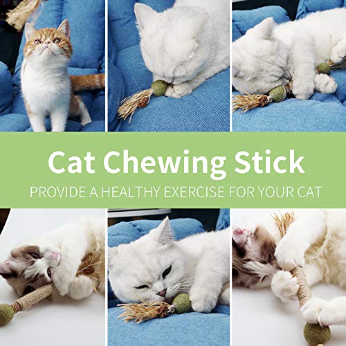 PAZ'S GIFT Catnip Toy Cat Toys Catnip Toy cat chew Toy cat Kicking silvervine Stick Teeth Cleaning Cute Kitten Teething Indoor Interactivecat Dental Care Matatabi (Catnip Balls) - size: Catnip Balls