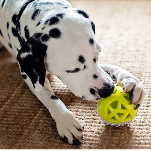 Messy Mutts Totally Pooched Catch n Squeak Ball, 3.5 Inch, Grey/Teal - color: Grey / Teal
