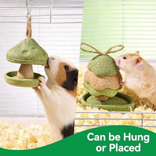 Guinea Pig Toys 2 Pack Guinea Pig Chew Toys Rabbit Treats Hamster Toys