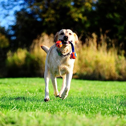 Chuckit! Ultra Duo Tug Toy, Small Indoor and Outdoor for Dogs 0-20 Pounds - size: Small, style: Ultra Duo Tug