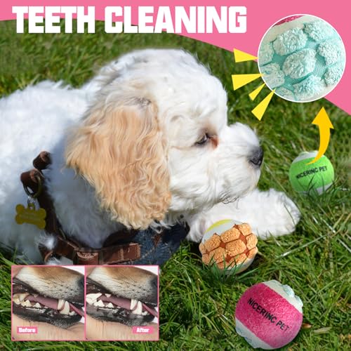 X-Small Dog Tennis Balls Dog Toys Ball 1.72" Pack of 12, Fit Ball Launchers - color: Plush style