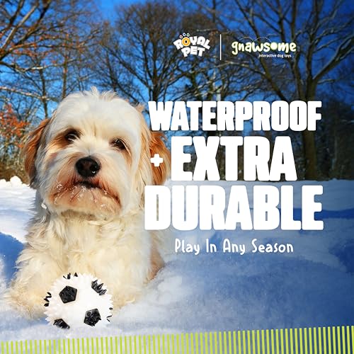 Gnawsome Squeaker Soccer Ball Dog Toy - Medium, Promotes Dental and Gum Health for Your Pet, Colors Will Vary, All Breed Sizes, 3.5" (Pack of 12) - size: 3.5" (Pack of 12)