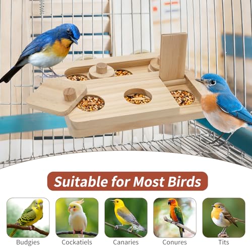 Wooden Bird Foraging Puzzle Feeder for Small Parrots, 7.2 x 5.4 Inch