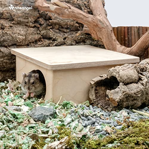 Niteangel Birch Chamber-Maze Hamster Hideout: 1 Entrance 2 Rooms Habitat