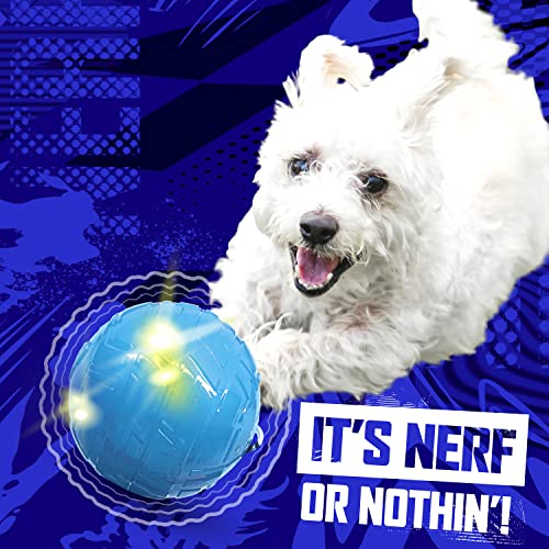 Nerf Dog 3.5in Wiggle Ball -Blue, (NF-4082)
