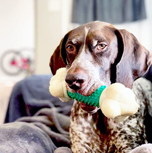 Nylabone Power Chew Double Action Barbell Bone Dog Chew Toy, X-Large - size: X-Large