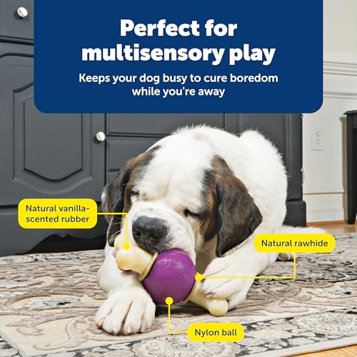 PetSafe Busy Buddy Bouncy Bone Treat Holding Dog Chew Toy, Large - size: Large, style: Bouncy Bone