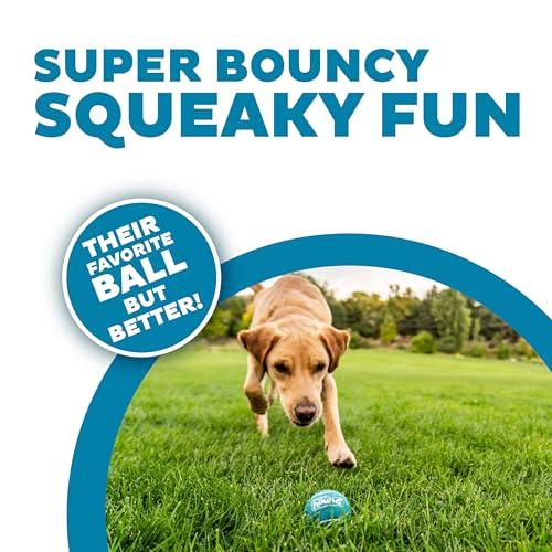 Outward Hound Squeaker Ballz Tennis Ball Dog Toy, Medium, 2.5", 6‑Pack - color: Multi Squeaker Balls, size: Medium, style: 6-Pack