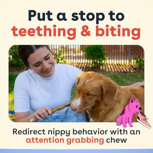 Pupford Bully Sticks for Dogs & Puppies, Teething Chew Toy (6", 10 Count) - size: 10 Count (Pack of 1)