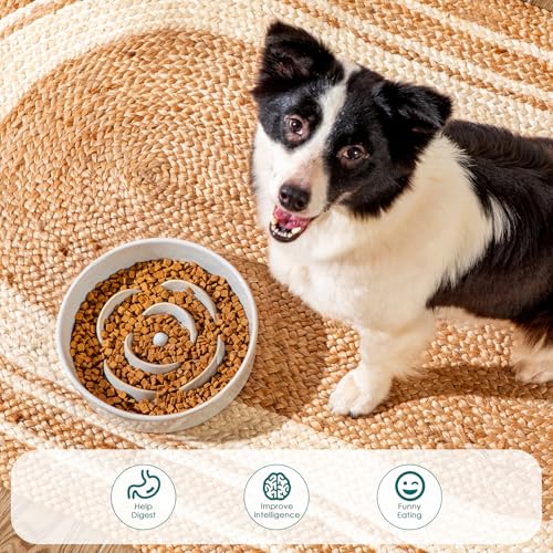 vancasso Slow Feeder Dog Bowls, 3 Cups Ceramic Puzzle Dish for Large Breeds - color: Light Gray, size: L - 3 Cups