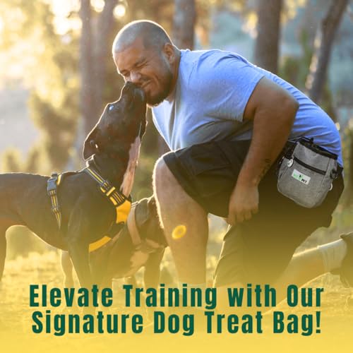 Pet N Pet Dog Treat Bag with Easy-Access Pouch for Training Small Holder