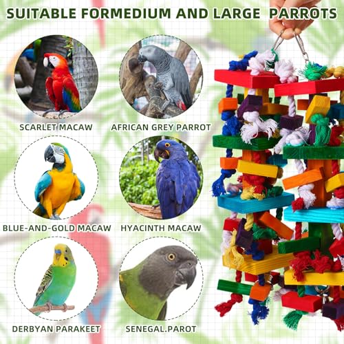 Soulchen 4 Pcs Extra Large Bird Parrot Toy Set, Natural Wooden Chewing Toy - style: Colorful Ring