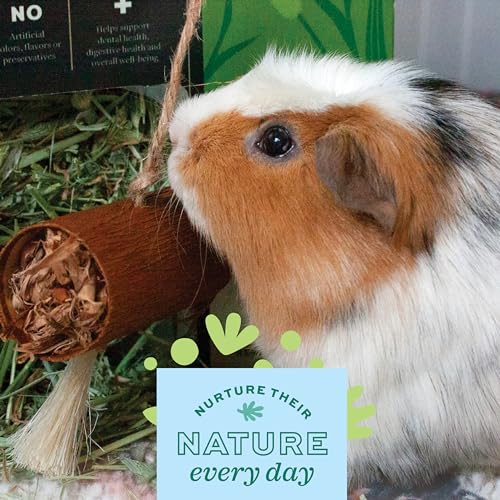 Oxbow Natural Dangly Party Pack, Rabbit & Guinea Pig Toys, Enrichment - style: Dangly Pack