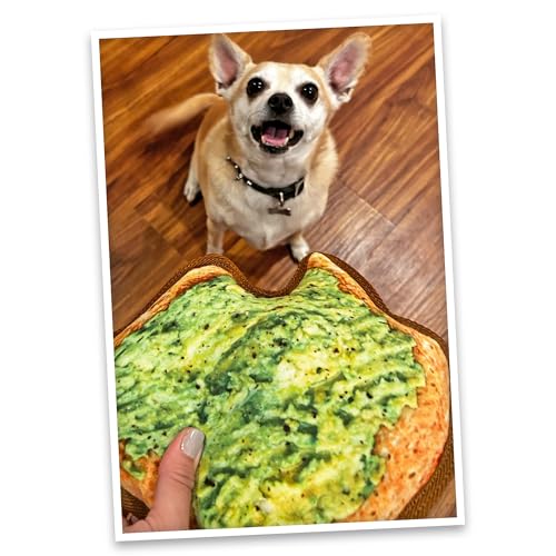 Doggijuana Tuffer Chewer Dog Toy, Avocado Toast | Plush, Squeaky - size: Standard, style: Avocado Toast
