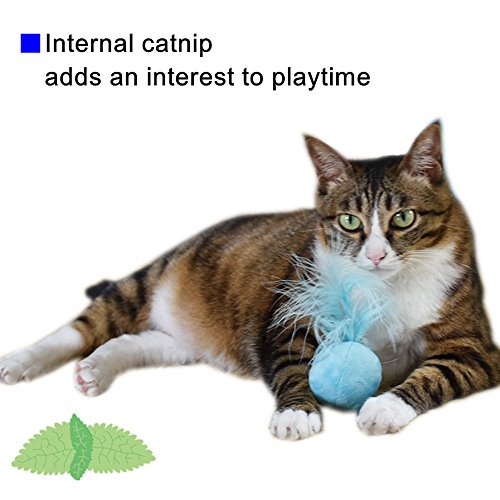 Furry Rattle Ball Cat Toy with Feather and Catnip - Interactive Pom Pom Balls for Cats, Soft and Lightweight, 2 Inch, 12 Pack. - size: 12 Pack