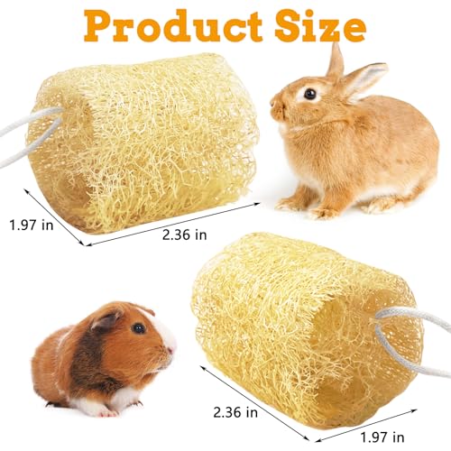 12 Pcs Rabbit Chew Toys Natural Bunny Loofah Chew Toy Chinchilla Teeth Grinding Toys Guinea Pig Fibre-Rich Treats Enrichment Bunny Accessories for Rabbits Hamster (M)