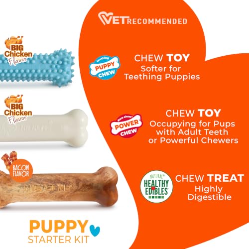 Nylabone New Puppy Starter Kit, Puppy Teething Toys, 3 Pack, Blue - color: Blue, size: Small
