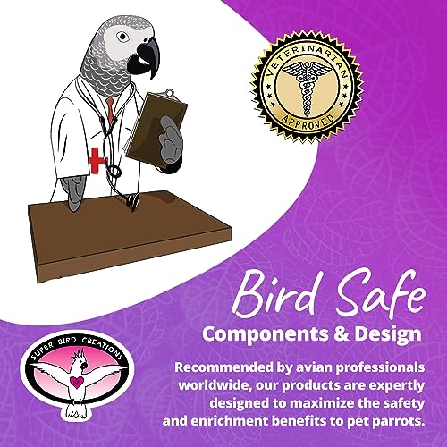 Super Bird Creations SB536 Vine Ring Rattle Bird Foot Toy, Medium/Large Bird Size, 5.5" x 1.5"