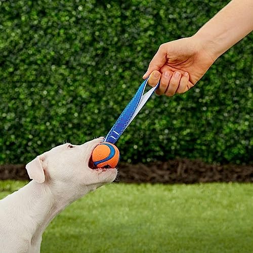 Chuckit! Ultra Tug Dog Toy, Small Fetch and Tug Toy for Dogs 0-20 Pounds - size: Small, style: Ultra Tug