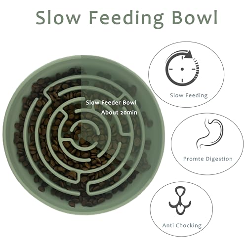 Pet Puzzle Bowl, 2 Cups Silicone Slow Feeder Dog Cat Bowl with Suction Cups, Non Slip Puzzle Bottle Lick Mat for Boredom and Anxiety Reduce,Preventing Choking, Dishwasher Safe (Green)