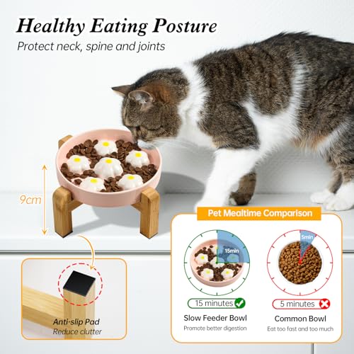 Elevated Ceramic Slow Feeder Cat Bowl with Anti-Slip Bamboo Stand - color: White + Stand