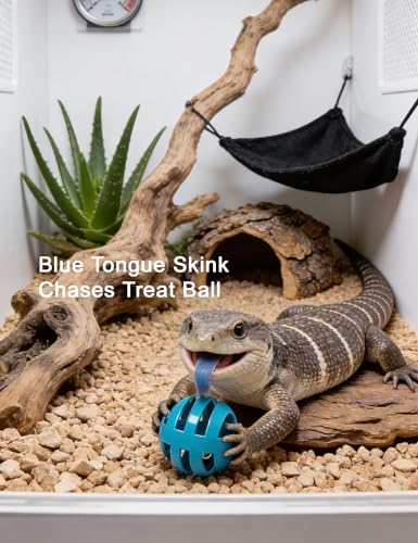 10-Pack Bearded Dragon Toys for Small Reptile Cage Enrichment