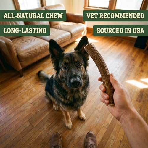 Heartland Antlers Deer Antler Dog Chew, XL 8-10 in, 65-85 lb Dogs - style: X-Large (Dogs 65-85 lbs)