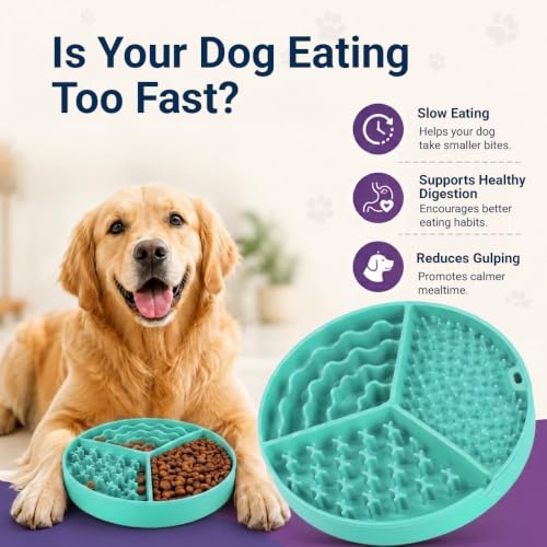 Large Size Cat & Dog Slow Feeder Puzzle Toy, Interactive Puzzle Feeder Bowl, Dog Lick Mat, Cat Food Puzzle, Pet Feeding Toy for Mental Stimulation, BPA Free Silicone, Dishwasher Safe (Green) - color: Mint Green
