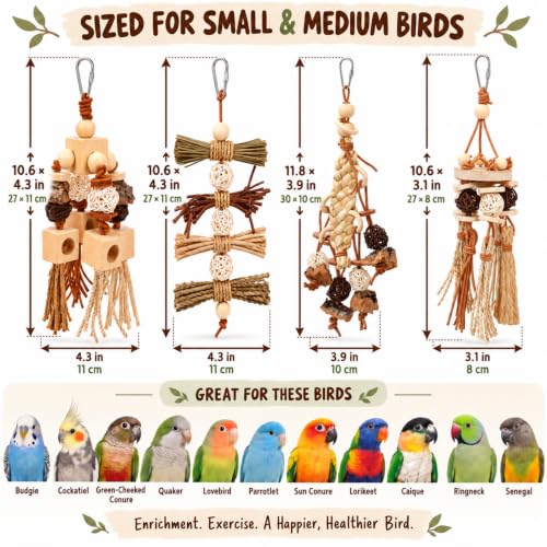 4 Pack Natural Bird Toys for Parrots, Parakeets & Cockatiels - Wood, Cork Bark, Raffia & Corn Husk Chew Set - Foraging Shredding Toys for Budgies, Conures, Lovebirds & Small Birds