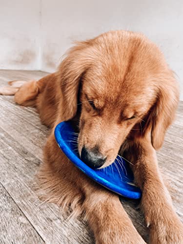 SuperChewer Tough Flying Disc Toy | Lifetime Replacement | Strong Natural Rubber | Great Dog Fetch Toys | Rubber Disc Toy for Dogs | Ultra Durable Chew Toys for Aggressive Chewers | for All Breeds - size: Large