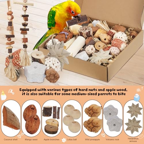 Bird Toys Natural Parrot Foraging Box with DIY Hanging String - size: Large