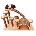 Wooden Hamster Bridge, Small Animals Climbing Ladder Activity Set Platform Ramps Playground Toys for Mouse Gerbil Rat Sugar Glider Dwarf Syrian Hamster - style: Platform of climbing ladder and bridge