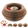 1 Pack Interactive Cat Scratch Toys with Bell Ball, Magic Organ Kitty Scratching Board for Indoor Cats Toys & Grinding Claw - color: Brown-1Pack