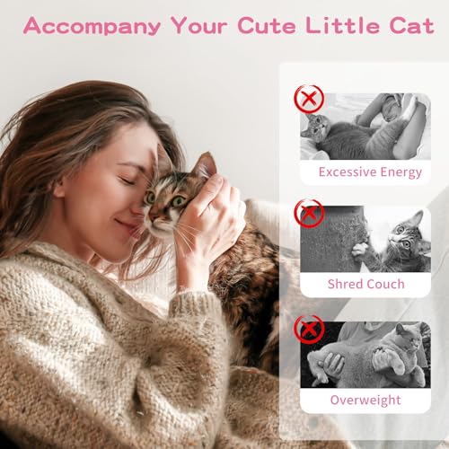 Pawaboo Cat Feather Wand Interactive Toy, 2 Feathers + 1 Wand with Bell - color: Pink Butterfly