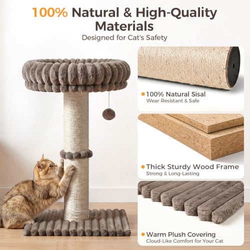 Avont Modern Cloud Cat Scratching Post with Perch for Indoor Adult Cats - color: Taupe