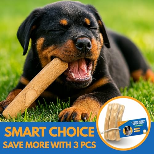 Set 3 of Coffee Wood Dog Chew Toy – Coffee Chew Stick for Small Dogs - Teeth Cleaning & Stress Relief – Safe, Durable & Eco-Friendly Dog Chew Toy (Small - Under 32 lbs) - size: Small
