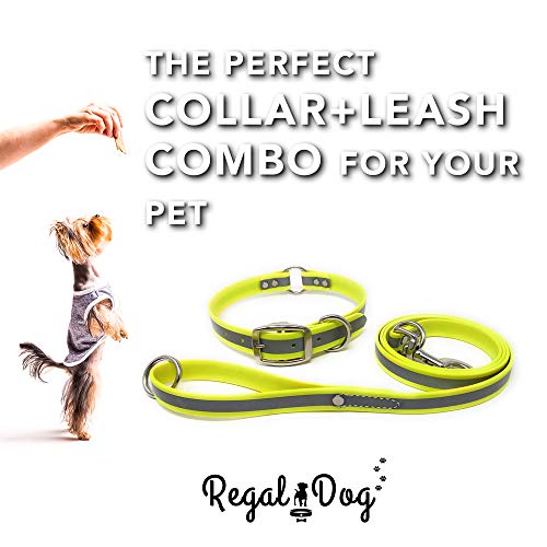 Regal Dog Products Reflective Dog Collar & Leash Set, Metal, Small Yellow - color: Yellow, size: Small Collar & Leash