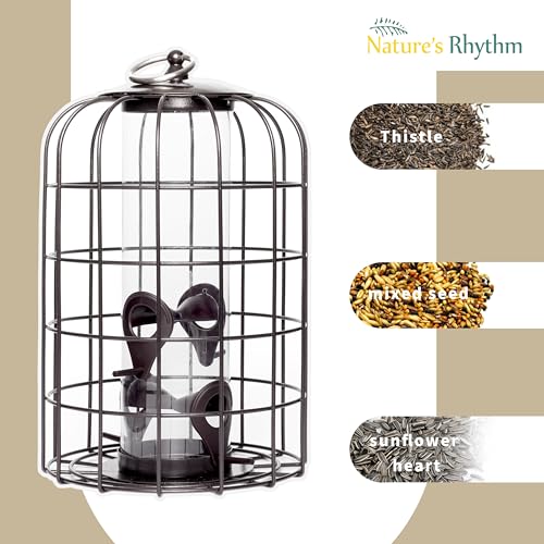 Nature's Rhythm Outdoor Hanging Bird Feeder Cage PC Tube Squirrel Proof Wild Bird Feeder with Large Metal Seed Guard Deterrent Green - size: PC Tube Bird Feeder