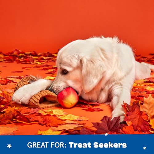 BarkBox Them Apples 3-in-1 Interactive Plush Dog Toy - color: Them Apples