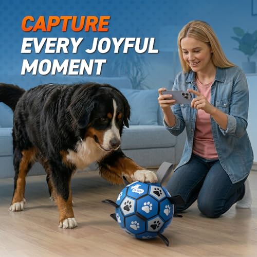 QDAN Extra Large Dog Toy Soccer Ball, Durable Dog Balls with Straps, 9 Inch - color: Blue Gray, size: Extra Large Size 5 (9 Inch)