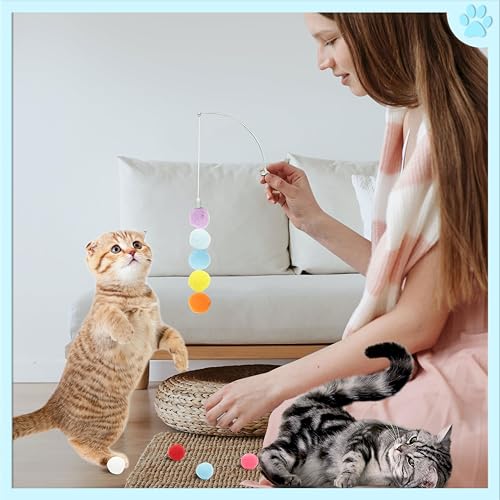24 Pcs Colorful Pet Balls