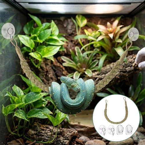 1 Set Green Snake Climbing Rope, Ball Python Tank Accessories with 2 Suction Cups & 2 Horn Hooks, 1.9cm Height Snake Enclosure Accessories for Ball Python Enrichment
