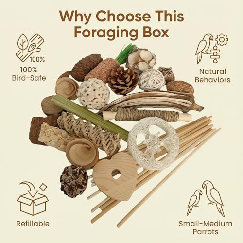 30PCS Natural Foraging & Chew Parrot Toys, Shredding Box for Birds - size: Medium