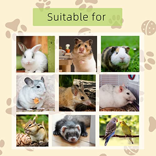 kathson Natural Rabbit Teeth Grinding Stones,15 Pcs Chinchilla Teeth Grinding Toys Lava Stone for Rabbits Hamster Chew Stones Small Animal Mineral Calcium Lava Blocks for Chinchillas Guinea Pig Rat